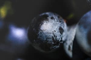 Makroaufnahme Resveratrol in Weintrauben