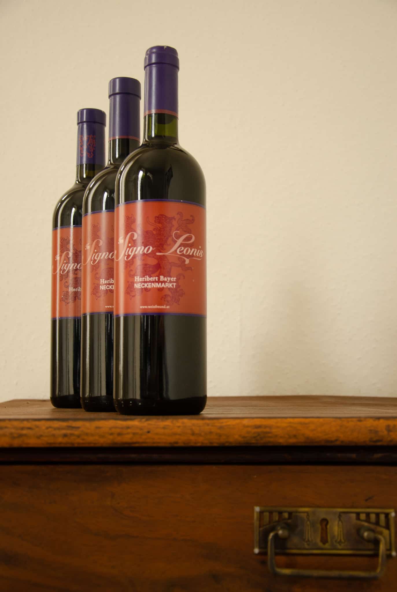 In Signo Leonis 2001, In Signo Leonis 2005, In Signo Leonis 2010