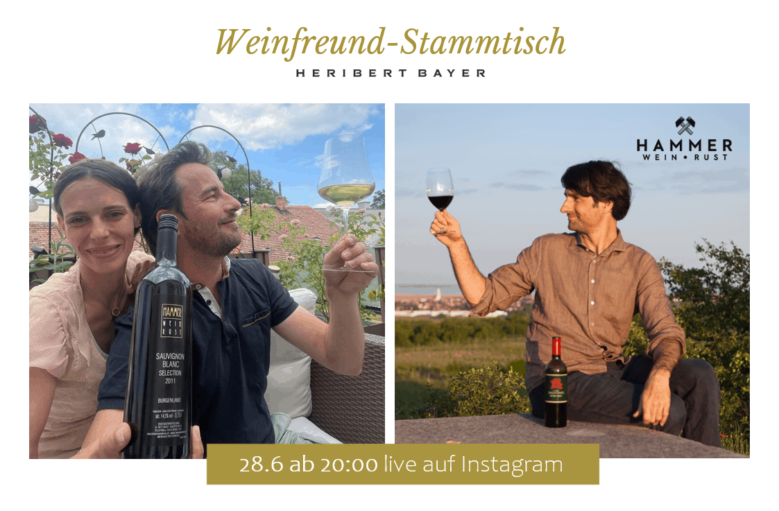Sauvignon Blanc Selection Weingut Hammer und Blaufränkisch In Signo Sagittarii 2011
