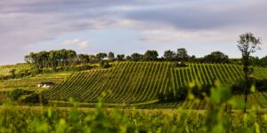 Hochberg Neckenmarkt